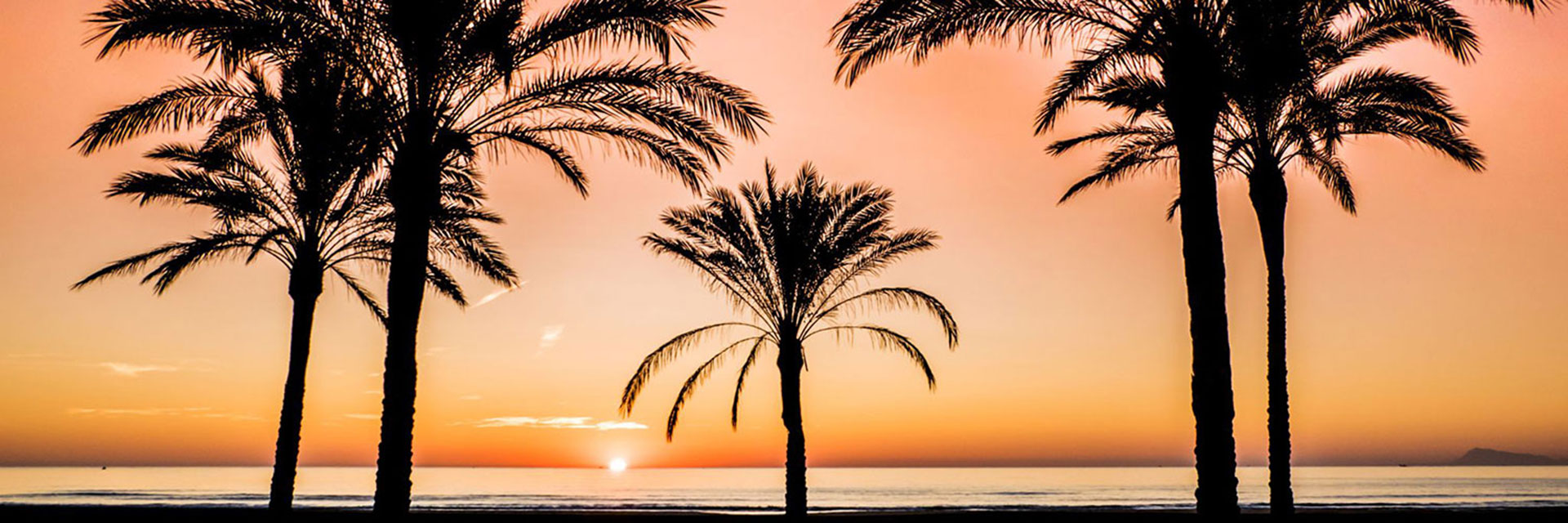 in the sun holidays banner 5 sunset promenade palm trees